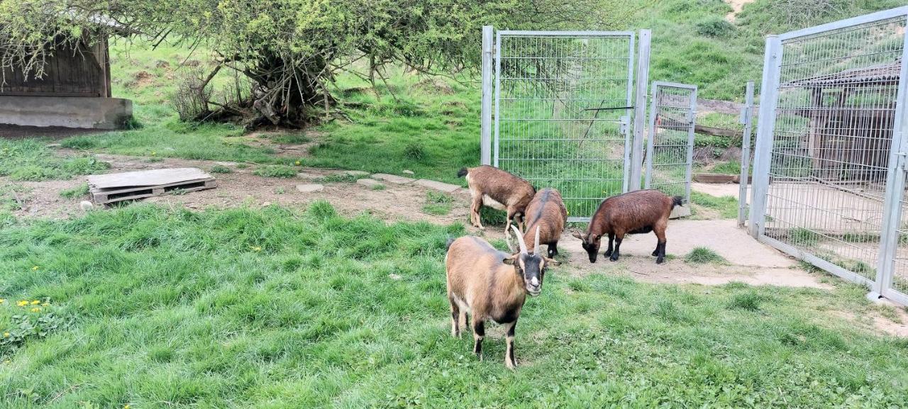 Ferienwohnung/Monteurzimmer Auf Dem Bauernhof Mörlenbach Екстериор снимка