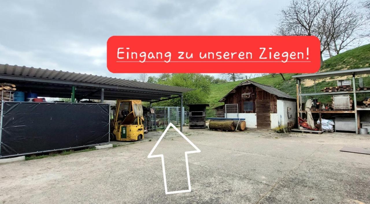 Ferienwohnung/Monteurzimmer Auf Dem Bauernhof Mörlenbach Екстериор снимка