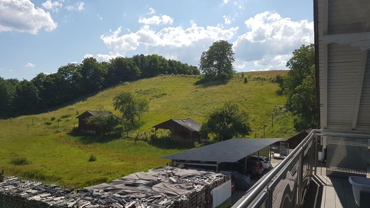 Ferienwohnung/Monteurzimmer Auf Dem Bauernhof Mörlenbach Екстериор снимка